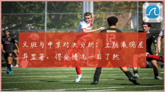 文班与申京对决分析：主防表现差异显著，得分情况一目了然