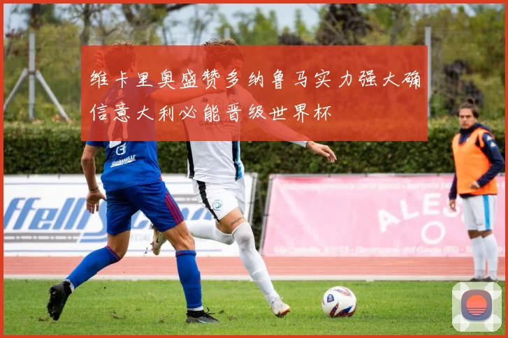 维卡里奥盛赞多纳鲁马实力强大确信意大利必能晋级世界杯
